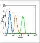 PCNA Rabbit pAb